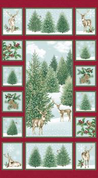 A Winter's Day by Jackie Robinson