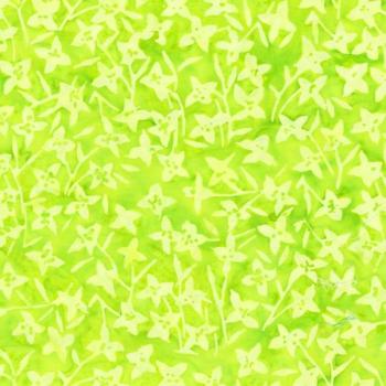 Aura, Petal Stars Lime