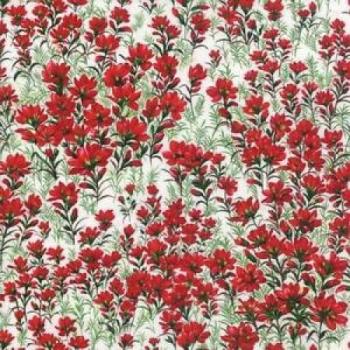 Wildflowers VI by Sentimental Studios