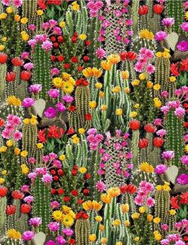 Cactus-West