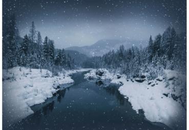 Call of the Wild by Hoffmann