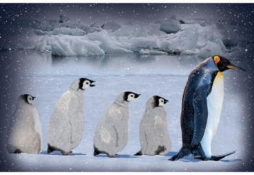 Call of the Wild  Arctic Blue by Hoffmann