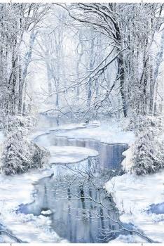 Winterlandschaft by Timeless Treasures
