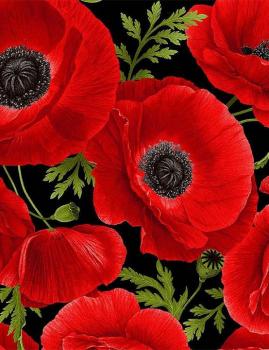 Wild Poppy by Chong-A Hwang