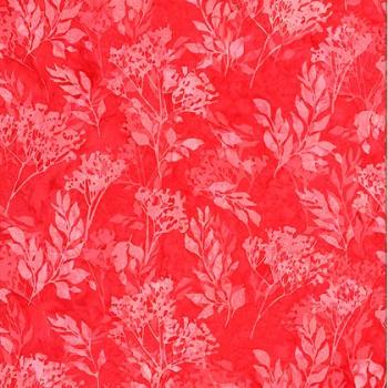 Coral by Hoffmann