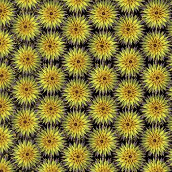 Natural Beauty Thistle Dot Black/Moss