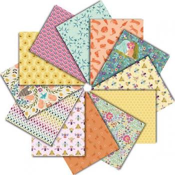 CPSTELLA-FQ Curous by dear Stella