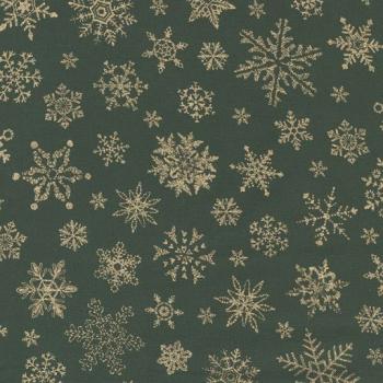 Merry Manor Evergreen