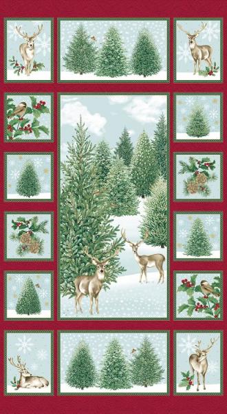 A Winter's Day by Jackie Robinson