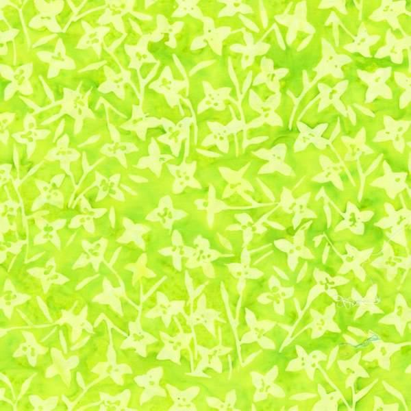 Aura, Petal Stars Lime