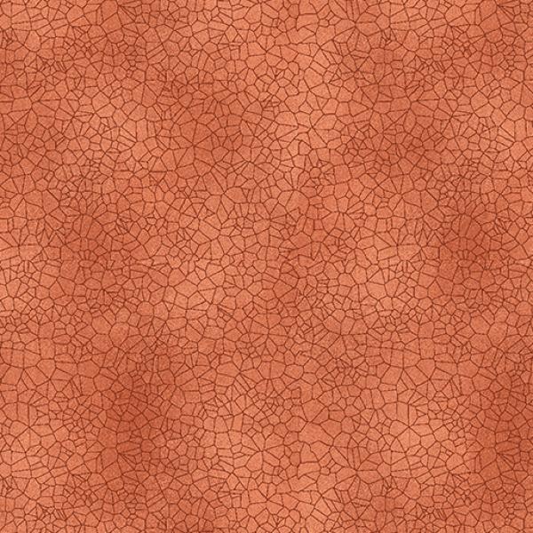 Crackle Coral by Cheryl Haynes