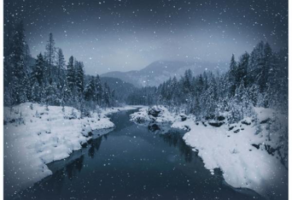 Call of the Wild by Hoffmann
