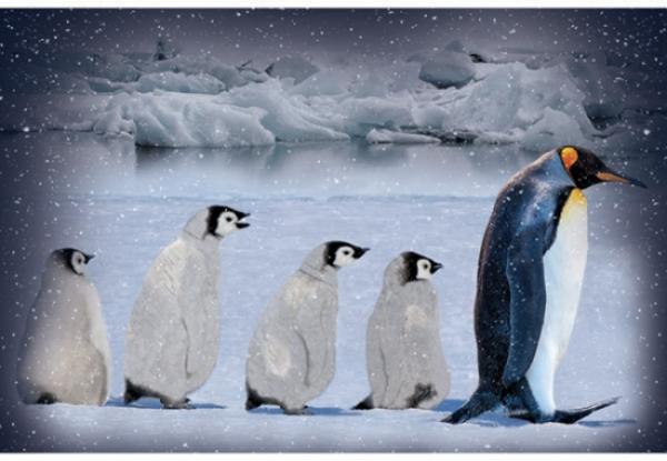Call of the Wild  Arctic Blue by Hoffmann