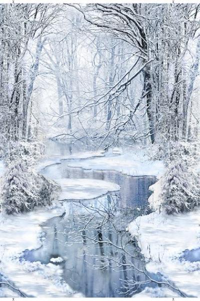 Winterlandschaft by Timeless Treasures