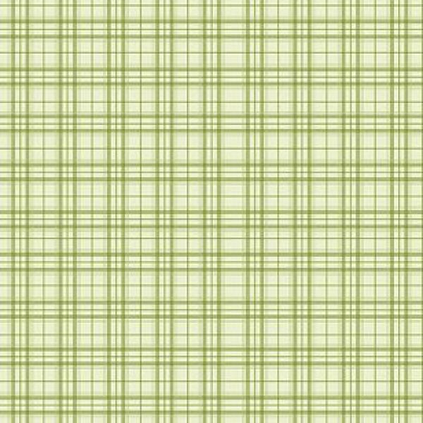 Plaid Green by Nancy Halvorsen