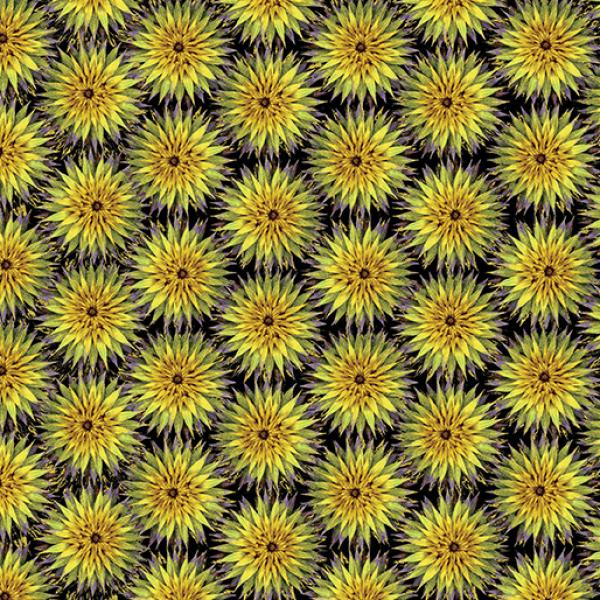 Natural Beauty Thistle Dot Black/Moss