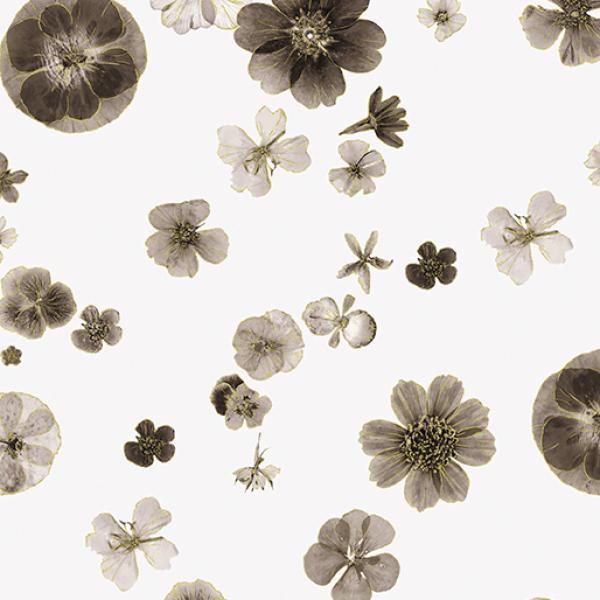 Pressed Flowers Ivory