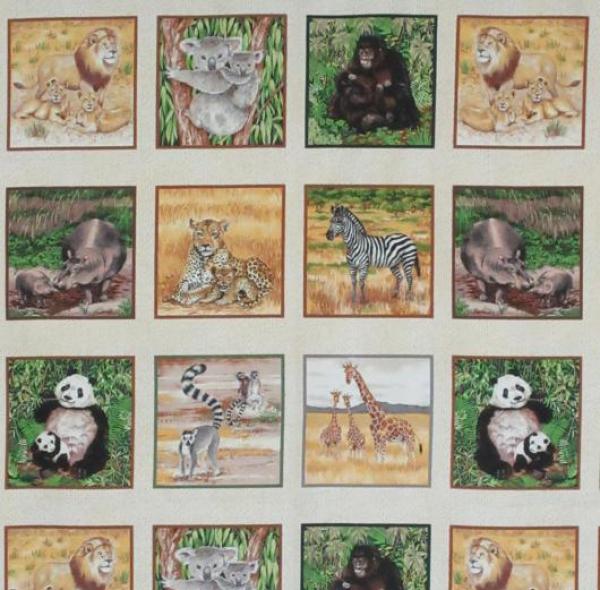 Animal Kingdom