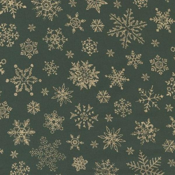 Merry Manor Evergreen
