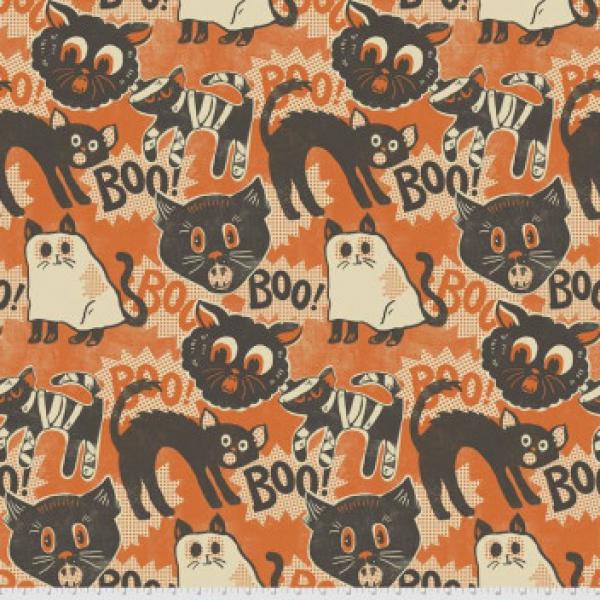 Scaredy Cat by Maude Asbury