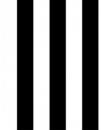 Linework Tent Stripe von Tula Pink